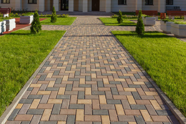 Best Driveway Stamping and Staining in Palestine, IL